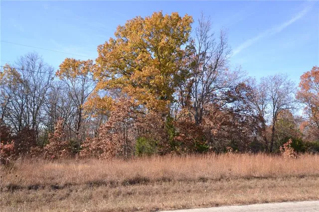$67,500 | 0 South S Highway, Stockton, MO 65785