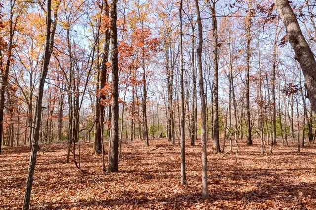 $67,500 | 0 South S Highway, Stockton, MO 65785