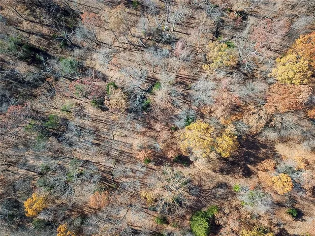 $67,500 | 0 South S Highway, Stockton, MO 65785