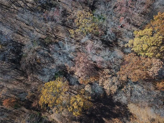 $67,500 | 0 South S Highway, Stockton, MO 65785