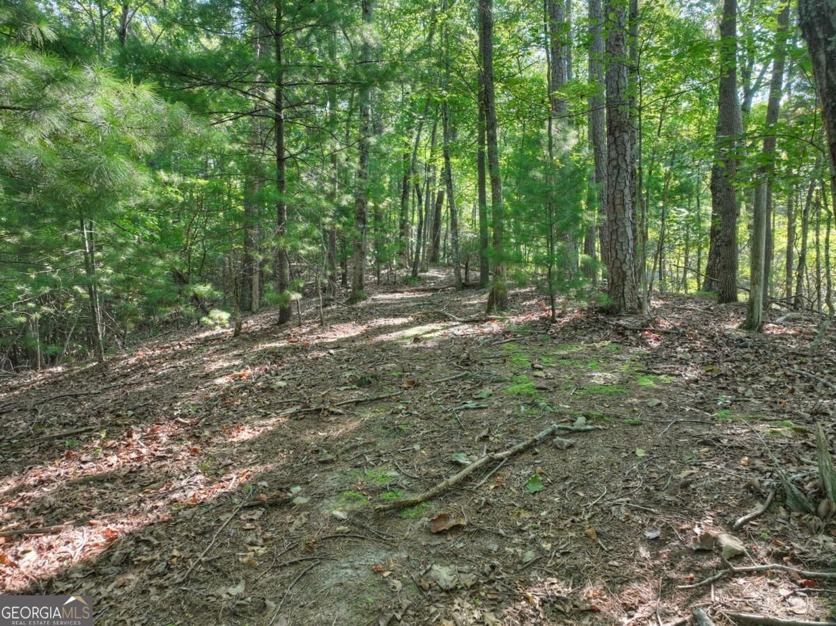 3.6-ac Prince Mountain Road Cherry Log, GA 30522 - Photo 21 of 22 Gallery Image 21