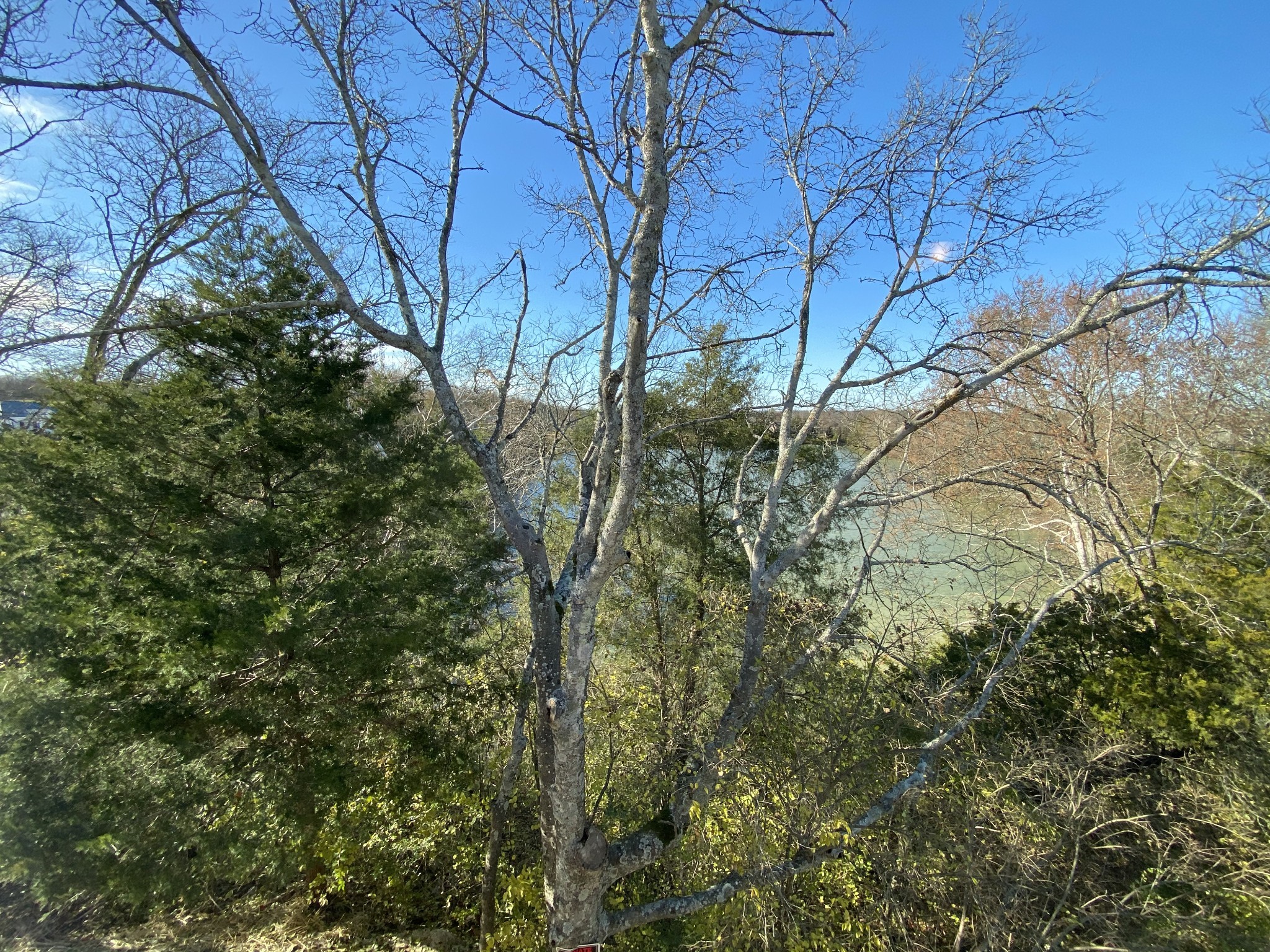 365 Quarry Road Gallatin, TN 37066 - Photo 43 of 44 Gallery Image 43