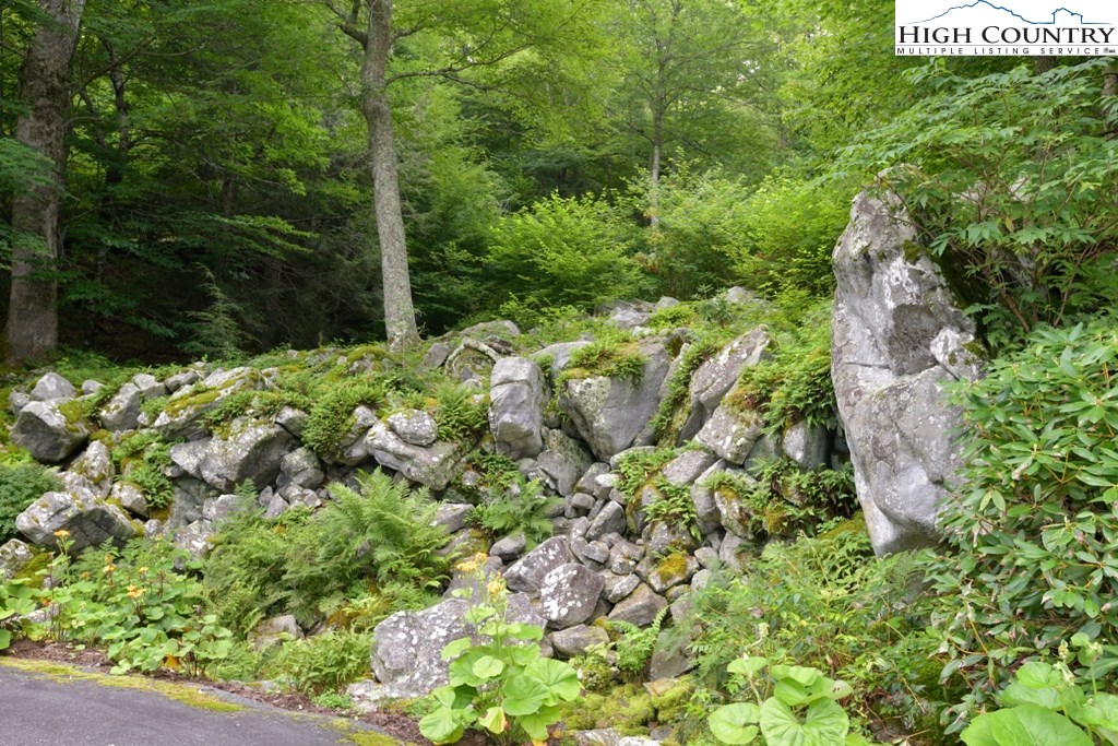 310 Boulder Ridge Road Linville, NC 28646 - Photo 25 of 29 Gallery Image 25