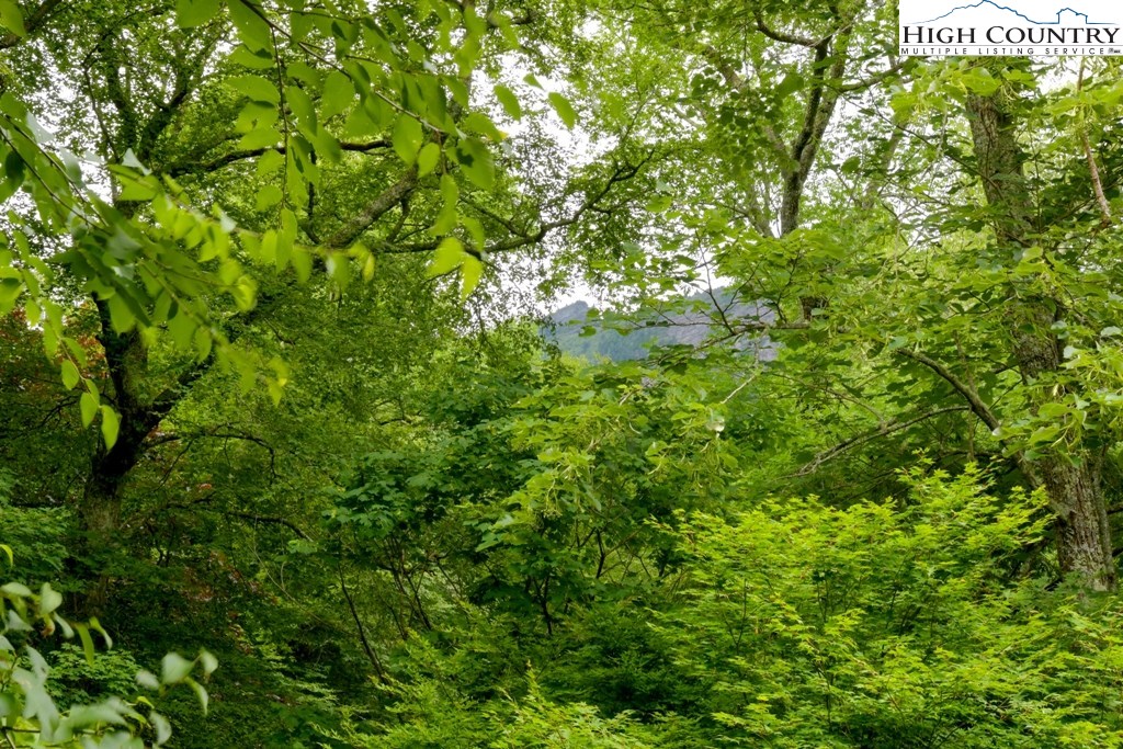 310 Boulder Ridge Road Linville, NC 28646 - Photo 27 of 29 Gallery Image 27