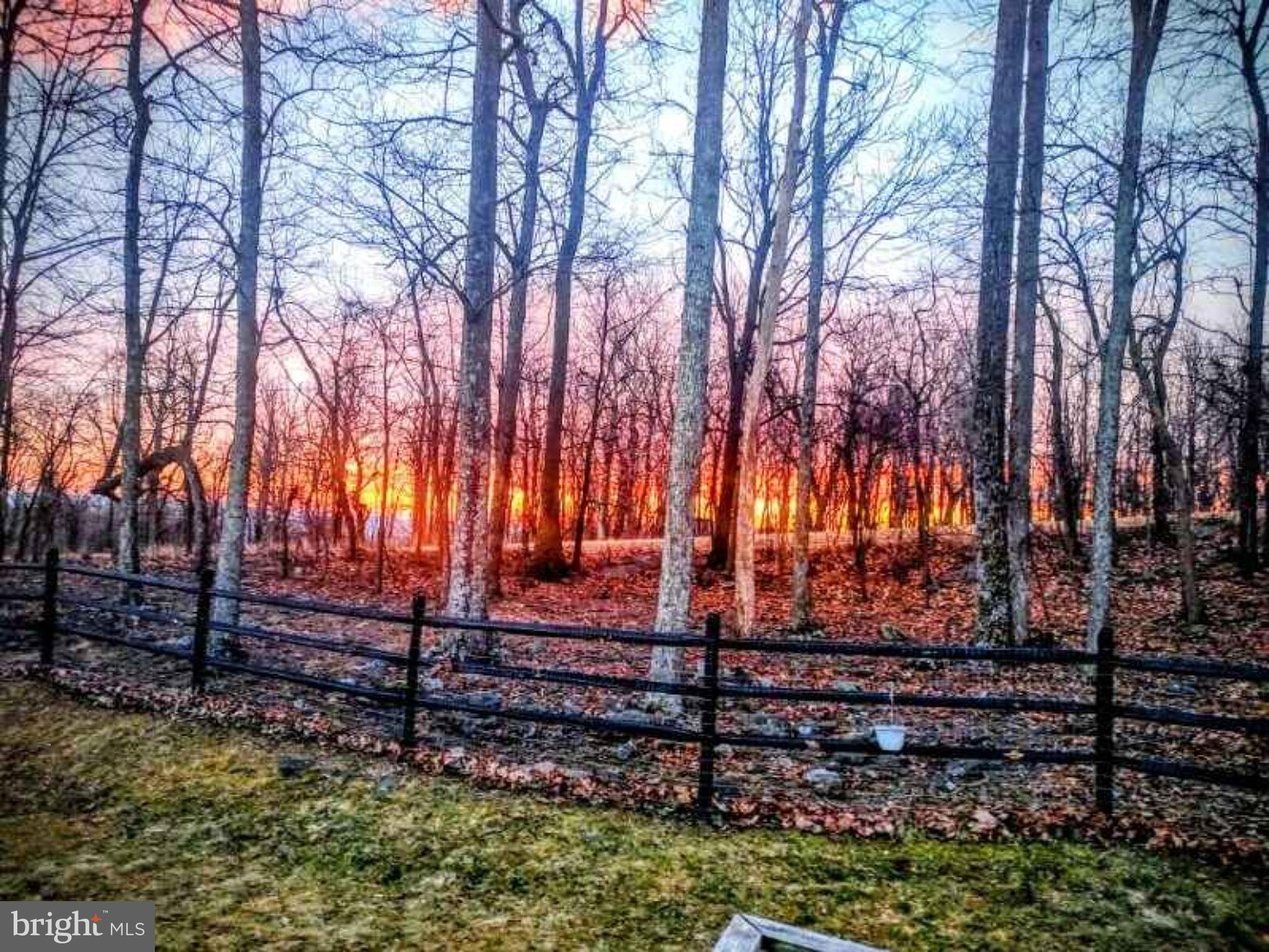 660 Salt Lick Road Front Royal, VA 22630 - Photo 74 of 78 Sunrise!