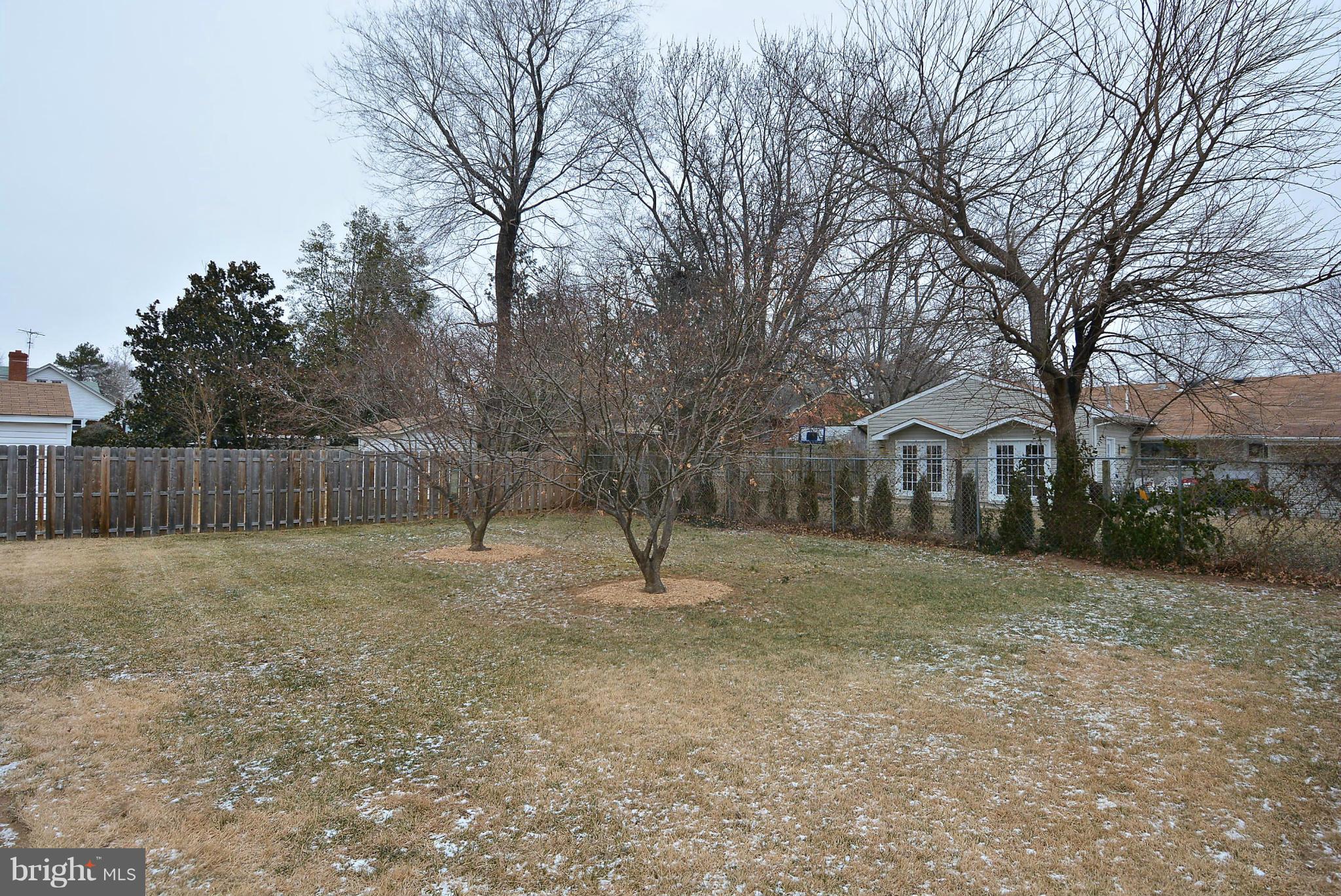 3915 Braddock Road Alexandria, VA 22312 - Photo 23 of 30 Back Yard