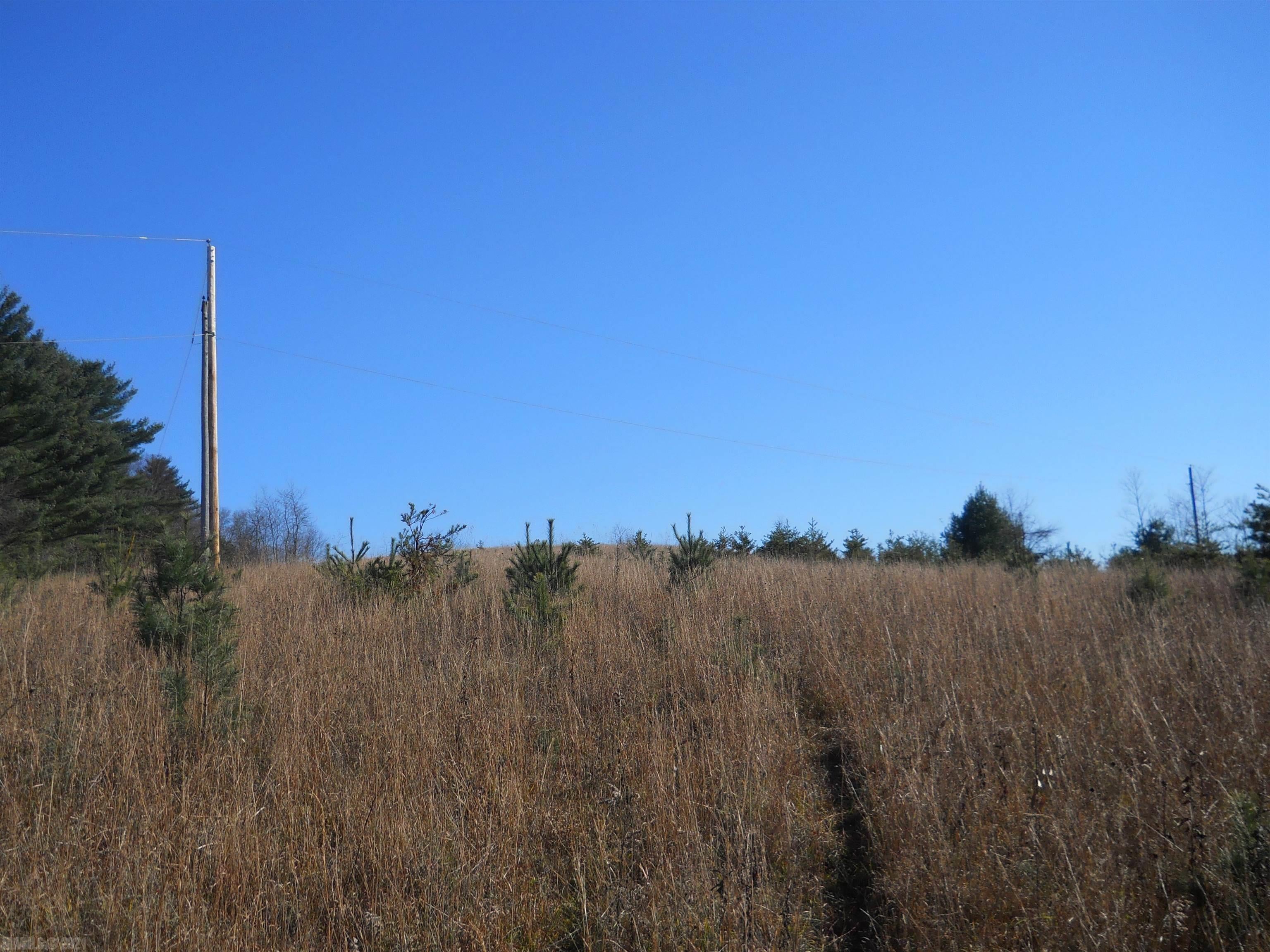 Tbd Stonewall Road Northeast Check, VA 24072 - Photo 10 of 35 Gallery Image 10