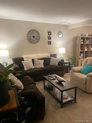 81 Rocky Point Yaphank Road, Unit 145 Rocky Point, NY 11778 - Photo 2 of 11 Living room with carpet