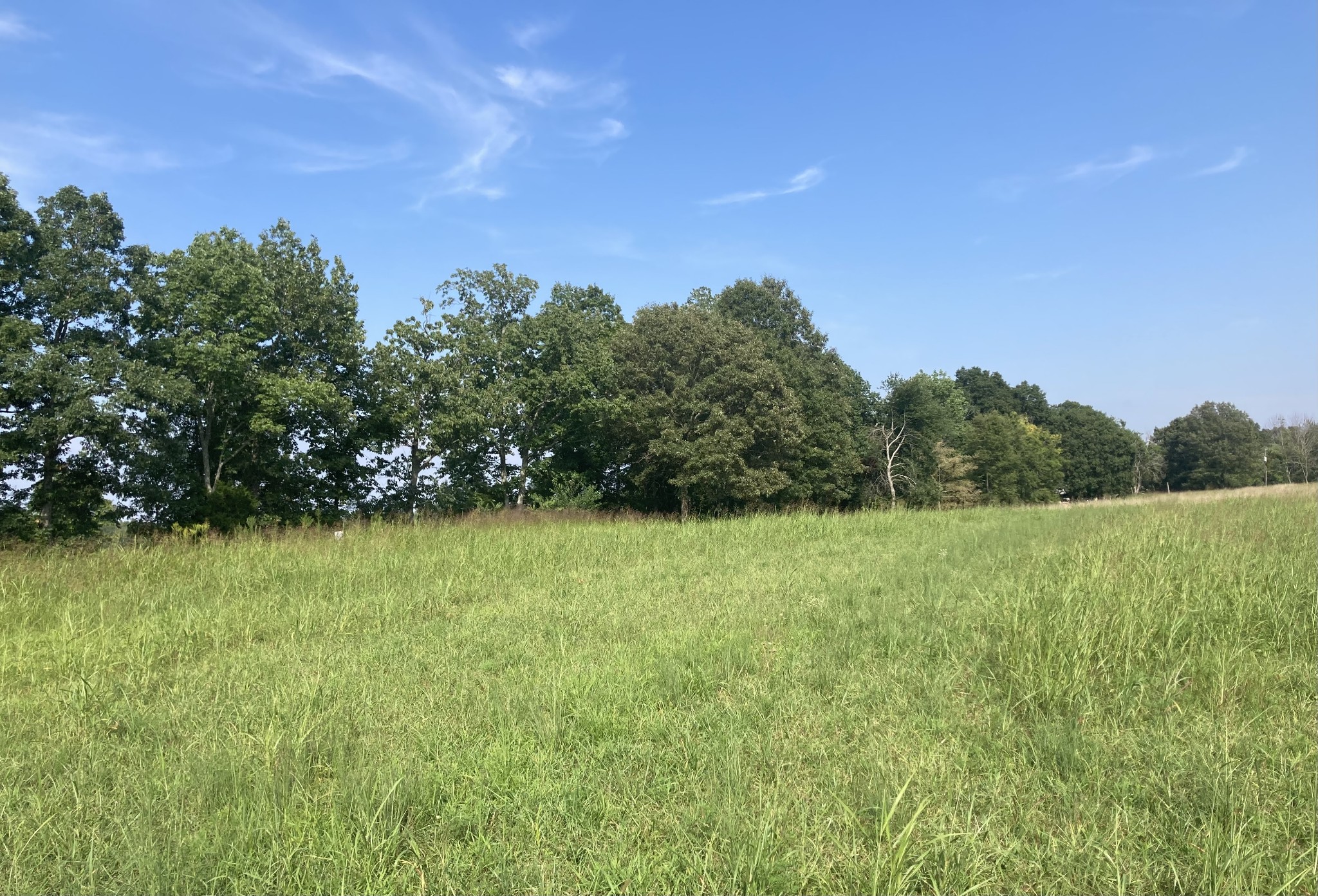 0 Dady Road, Unit 5 McEwen, TN 37101 - Photo 1 of 5 Gallery Image 1