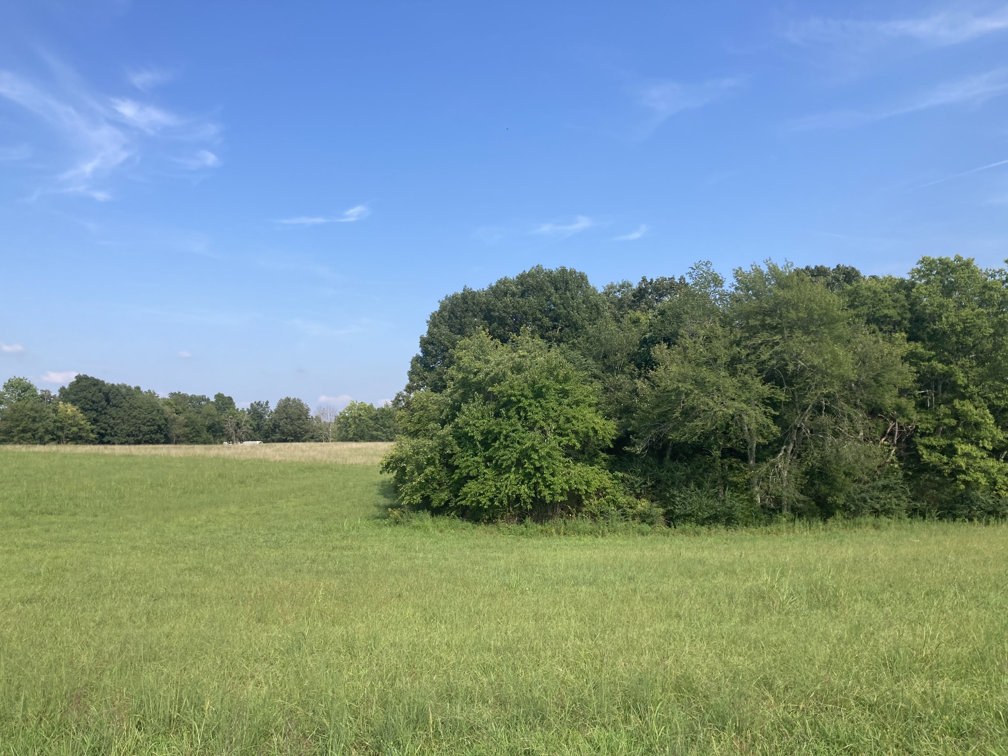 0 Dady Road, Unit 5 McEwen, TN 37101 - Photo 2 of 5 Gallery Image 2