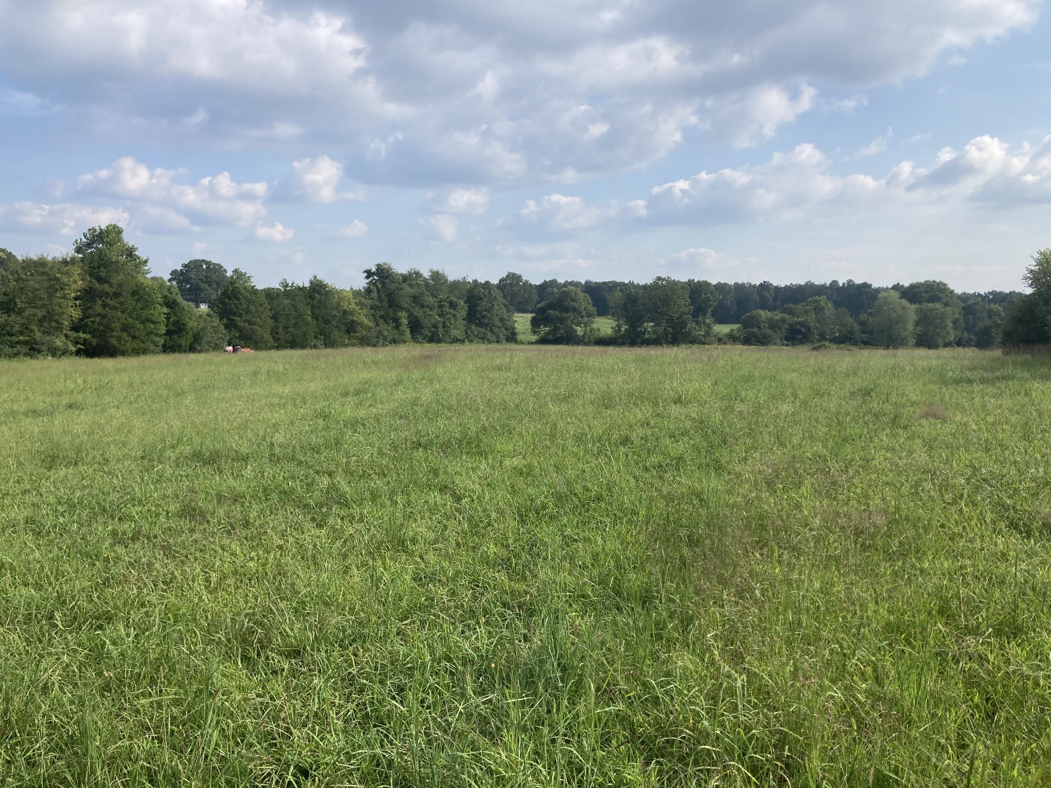 0 Dady Road, Unit 5 McEwen, TN 37101 - Photo 3 of 5 Gallery Image 3