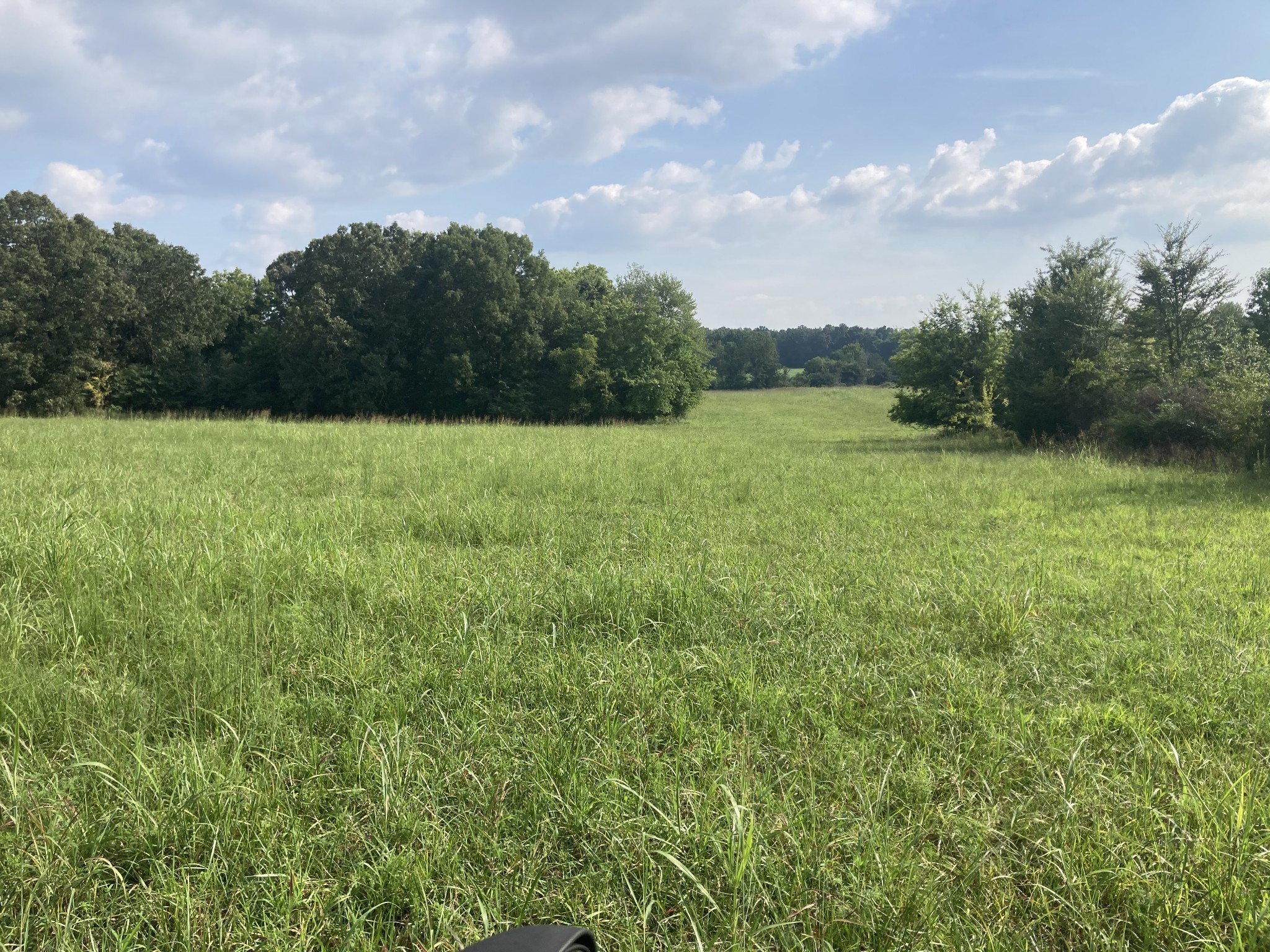 0 Dady Road, Unit 5 McEwen, TN 37101 - Photo 4 of 5 Gallery Image 4
