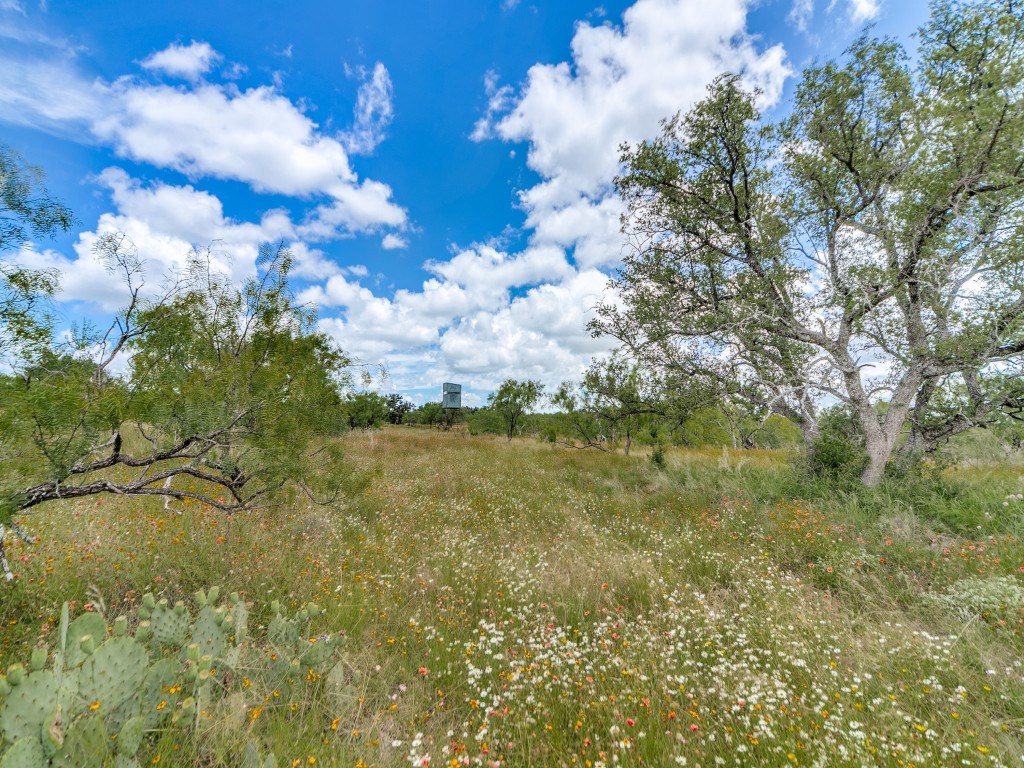 Tbd Hickory Grove Road Pontotoc, TX 76869 - Photo 4 of 19
