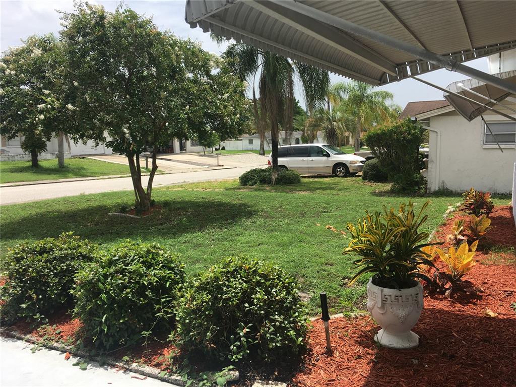 3633 Cockatoo Drive New Port Richey, FL 34652 - Photo 4 of 17