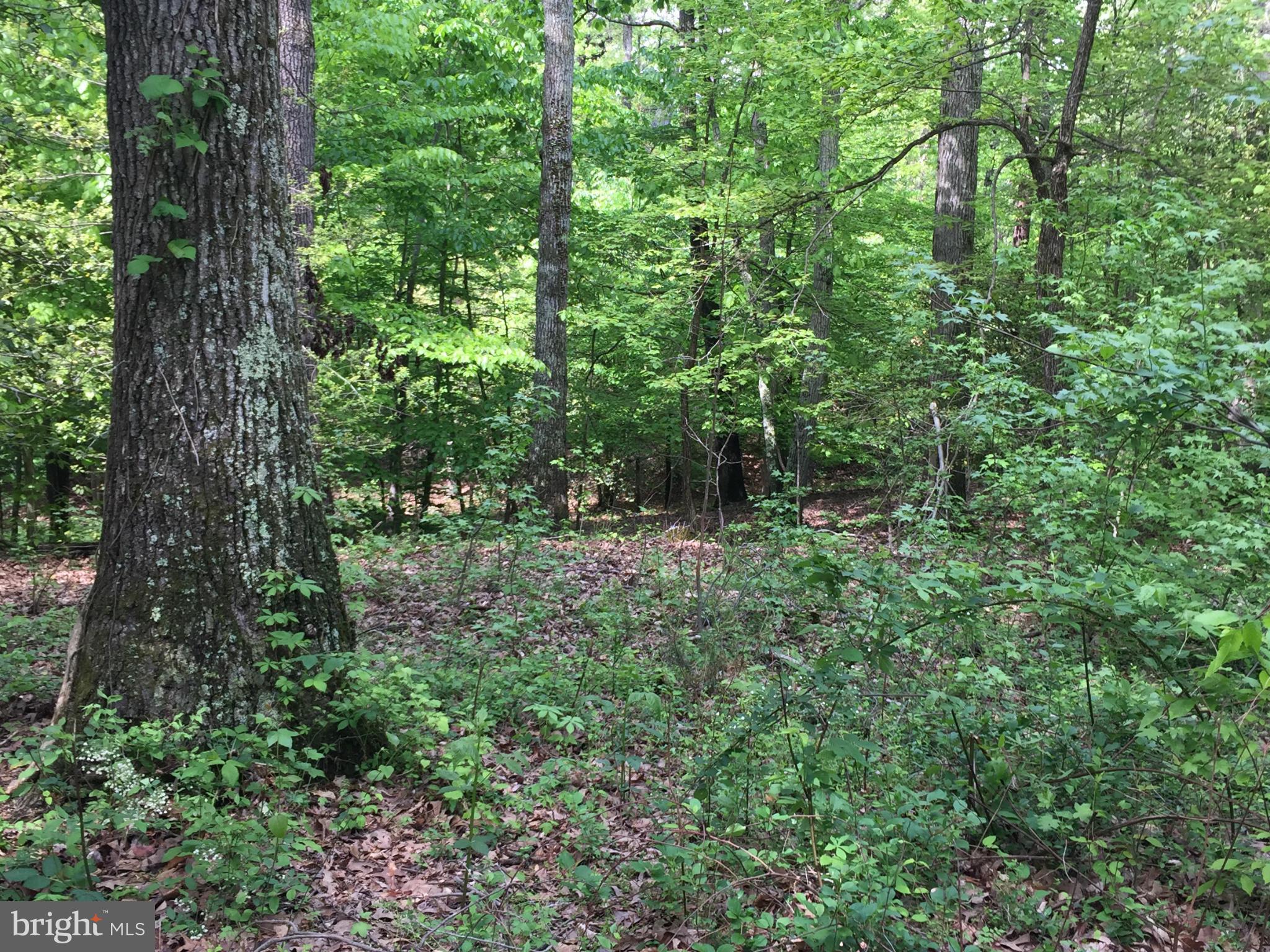 Not On File Accokeek, MD 20607 - Photo 1 of 1 Exterior (General)