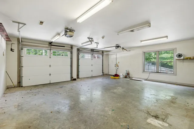 a view of a big yard with plants and large trees