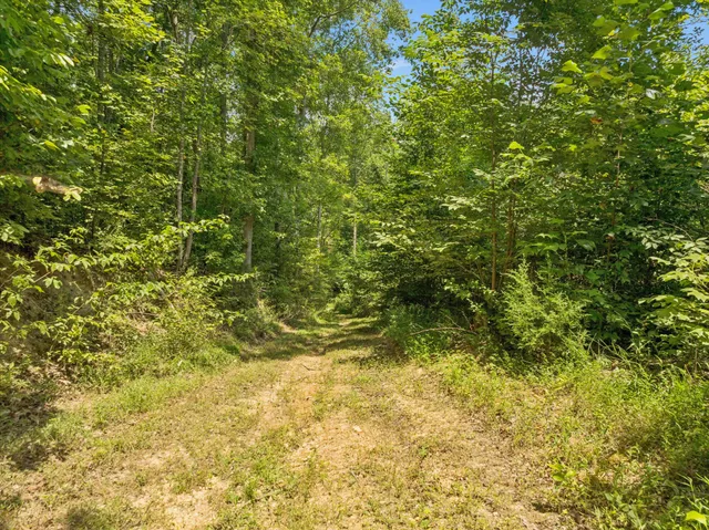 $888,000 | 368 Rackley Road, Hohenwald, TN 38462