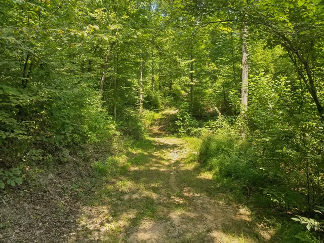 $888,000 | 368 Rackley Road, Hohenwald, TN 38462