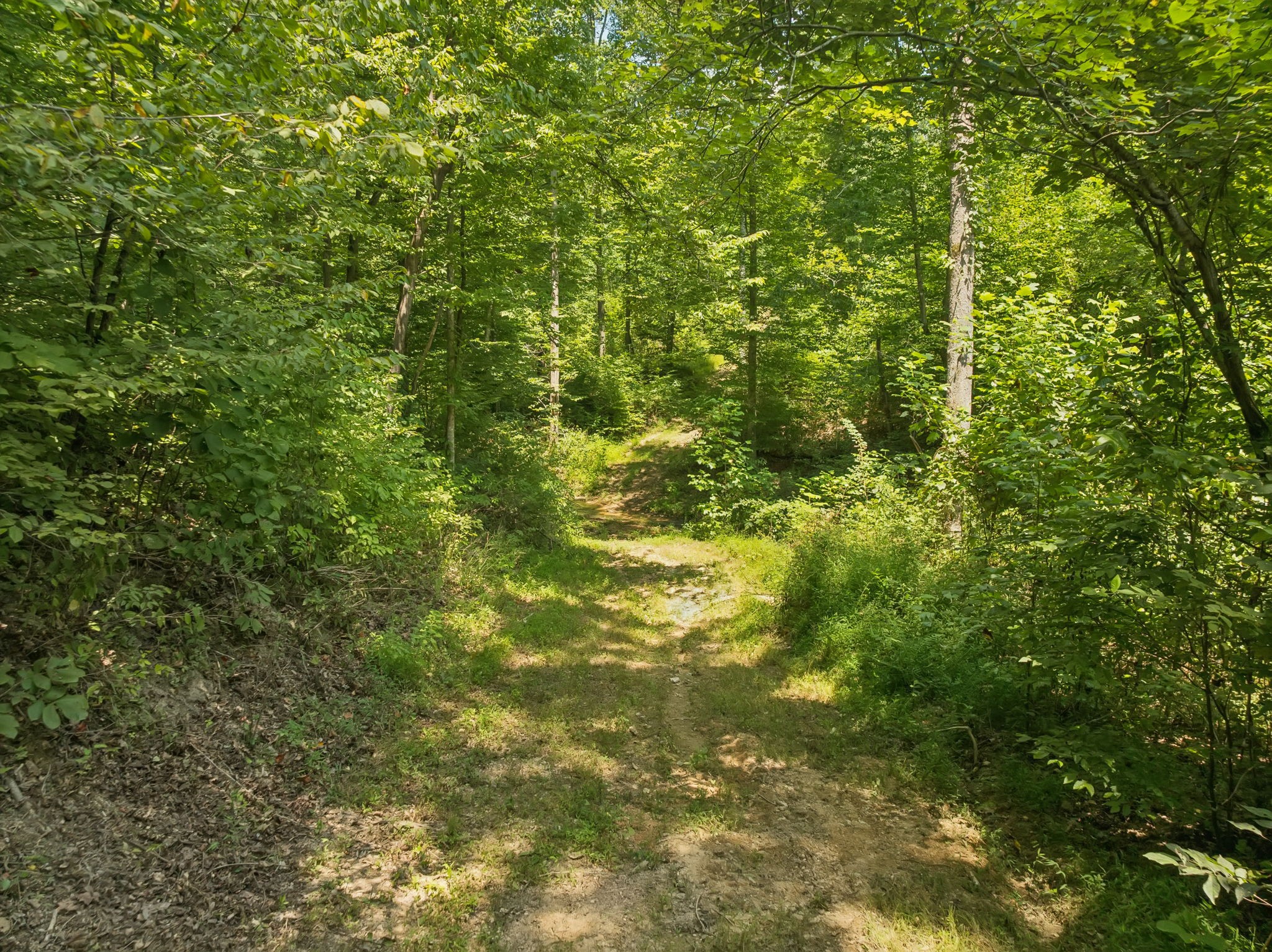 368 Rackley Road Hohenwald, TN 38462 - Photo 73 of 88 Gallery Image 73