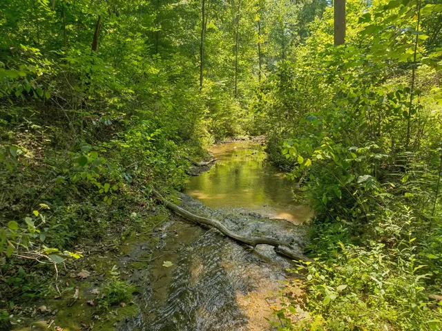 $888,000 | 368 Rackley Road, Hohenwald, TN 38462