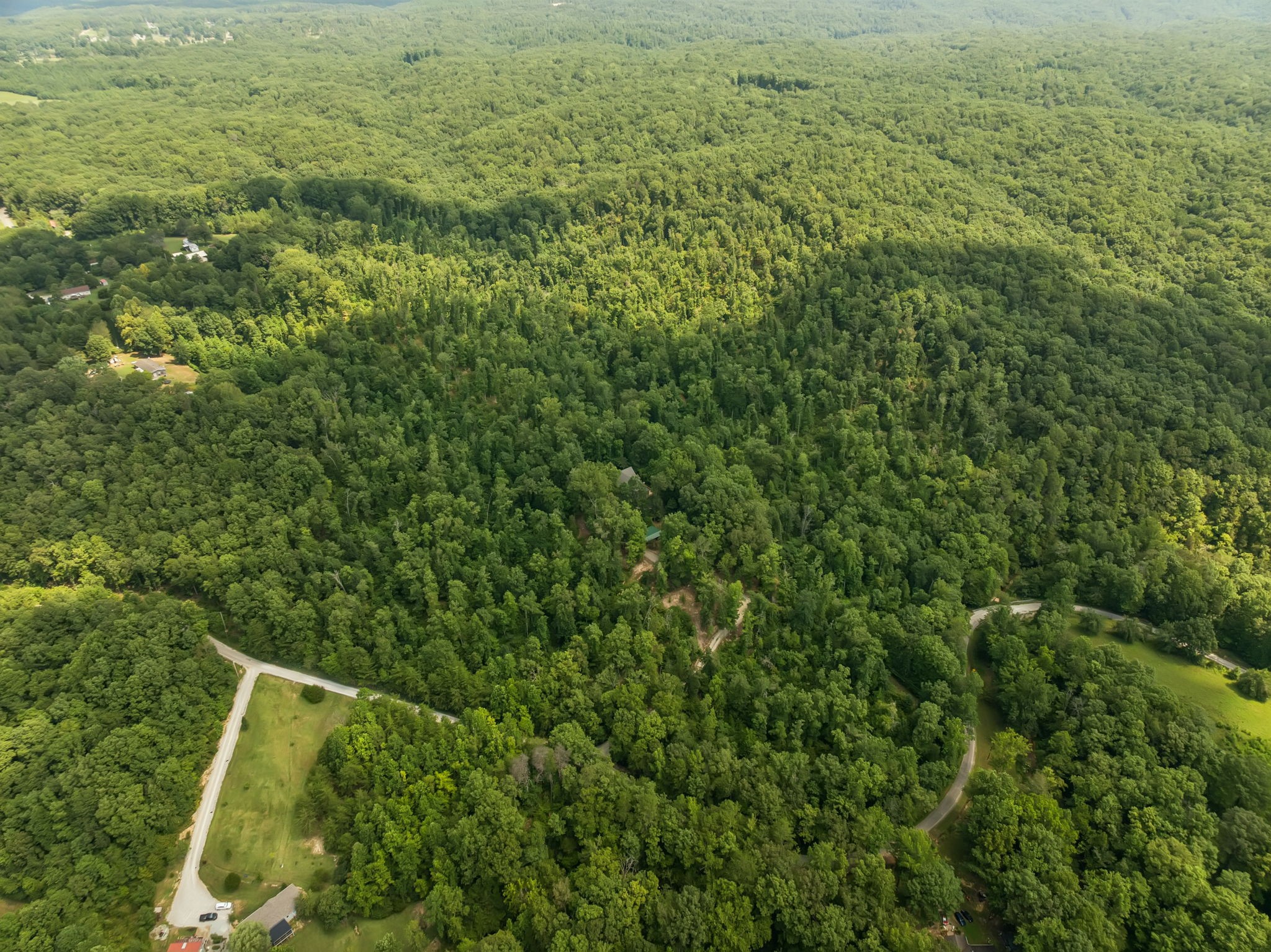 368 Rackley Road Hohenwald, TN 38462 - Photo 81 of 88 Gallery Image 81