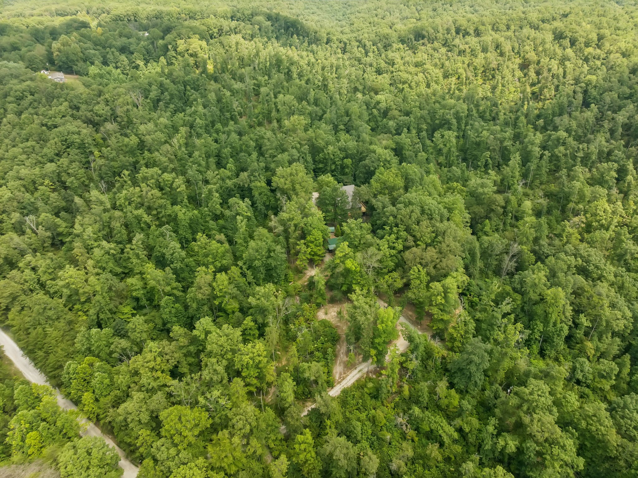 368 Rackley Road Hohenwald, TN 38462 - Photo 83 of 88 Gallery Image 83