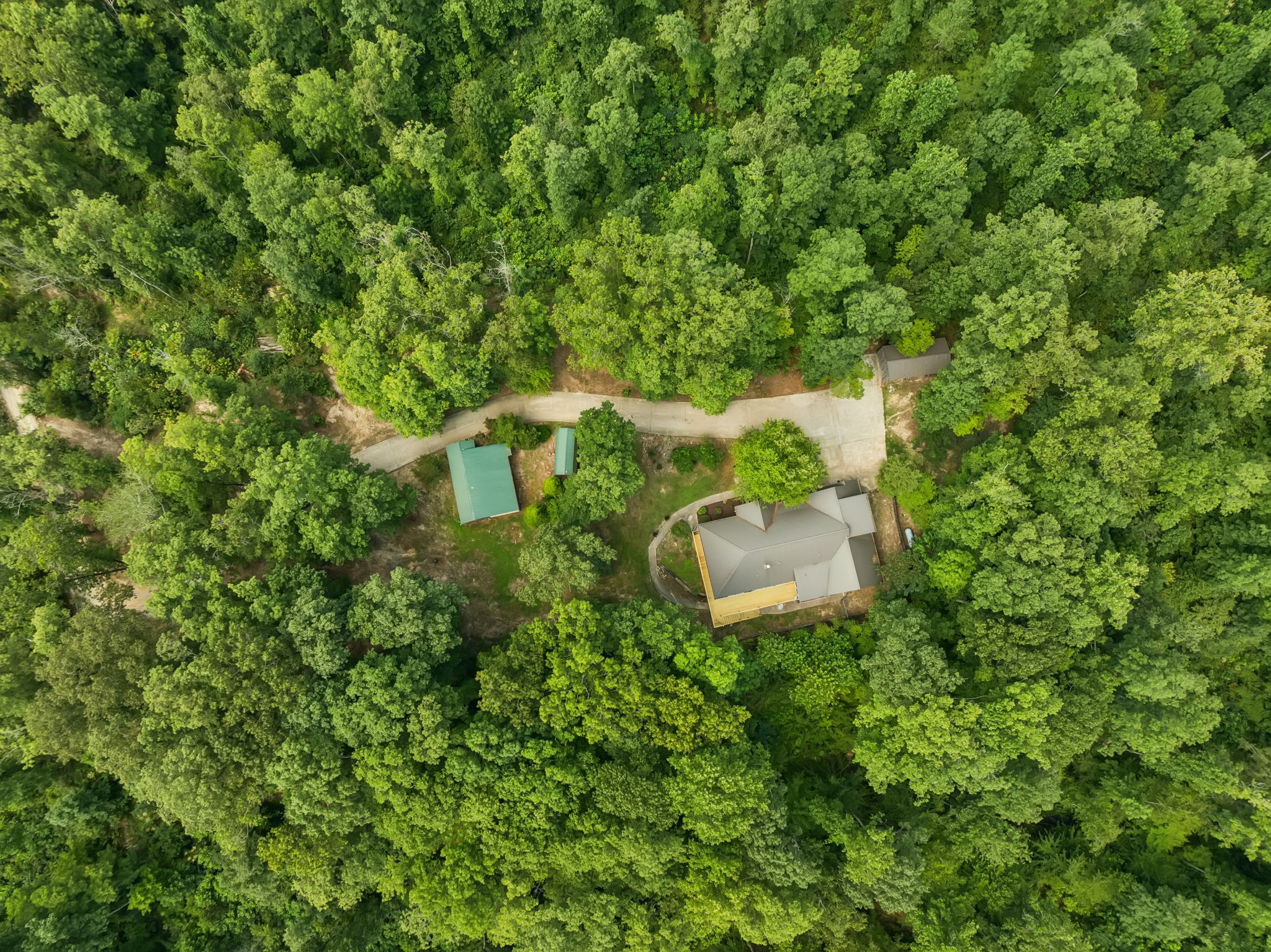 368 Rackley Road Hohenwald, TN 38462 - Photo 84 of 88 Gallery Image 84