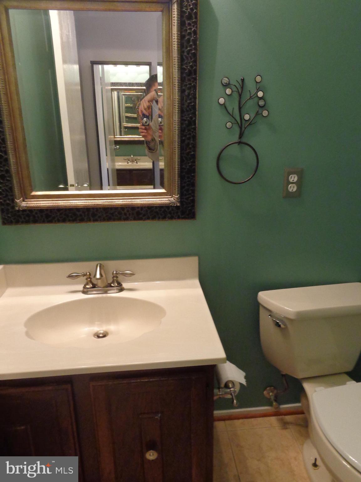6524 Alexis Lane Springfield, VA 22152 - Photo 7 of 23