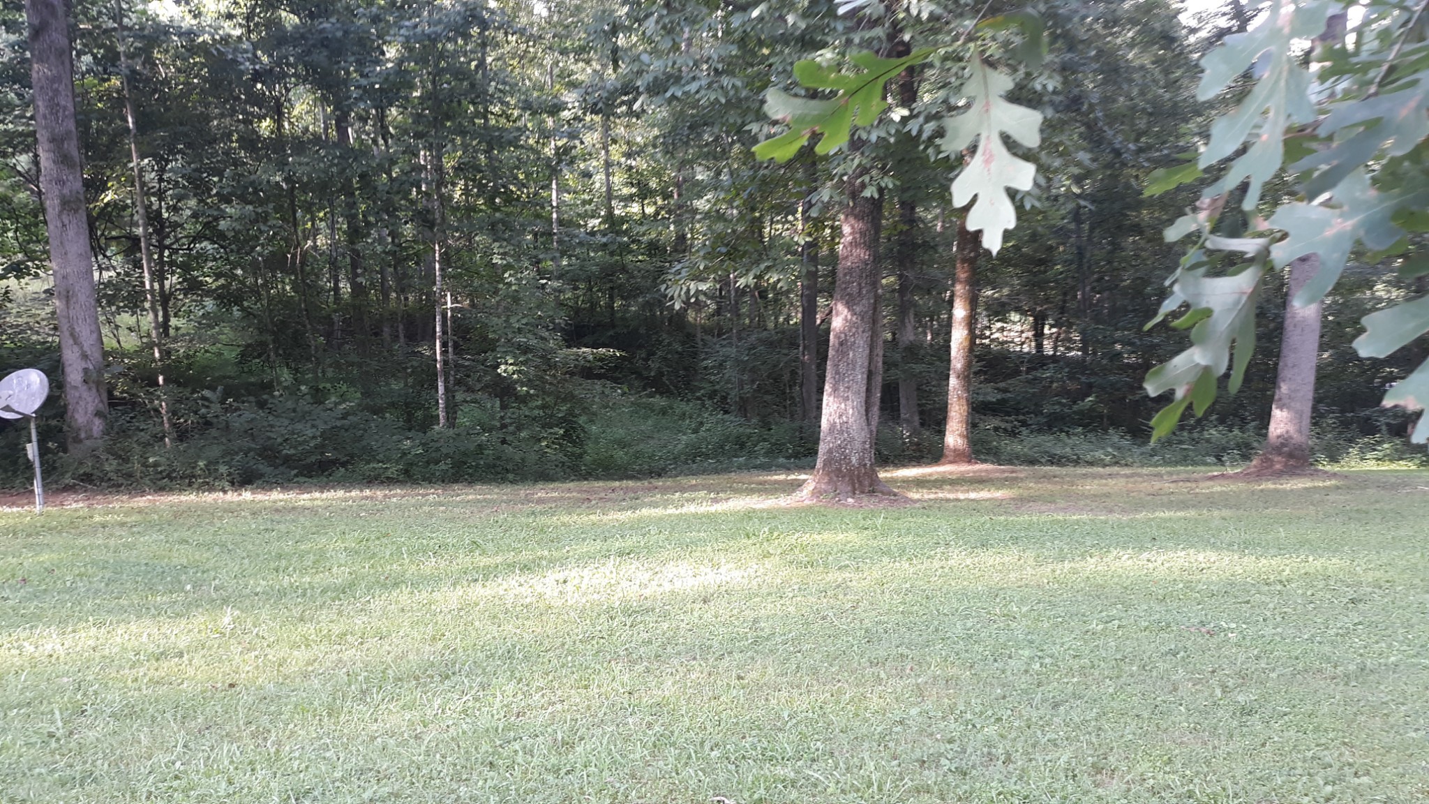 6567 Wesley Ridge Road Lyles, TN 37098 - Photo 12 of 33