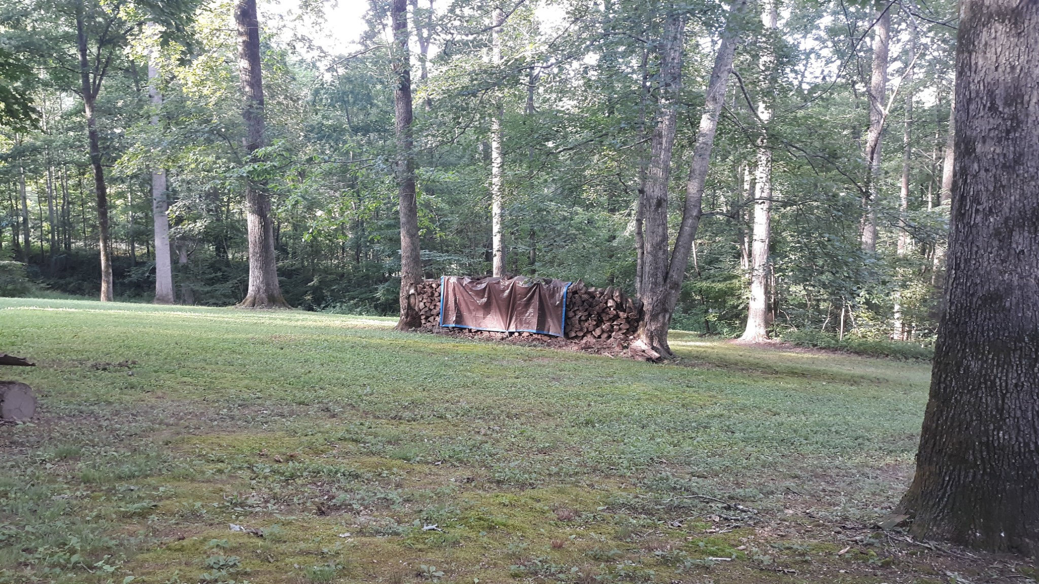 6567 Wesley Ridge Road Lyles, TN 37098 - Photo 13 of 33
