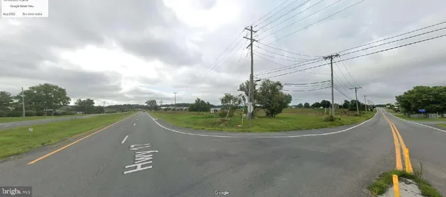 a view of field with grass and trees