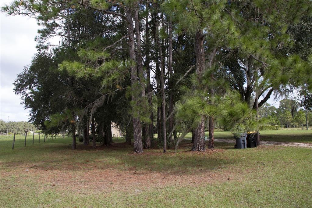 6130 Fussell Road Polk City, FL 33868 - Photo 12 of 21 a view of outdoor space with trees