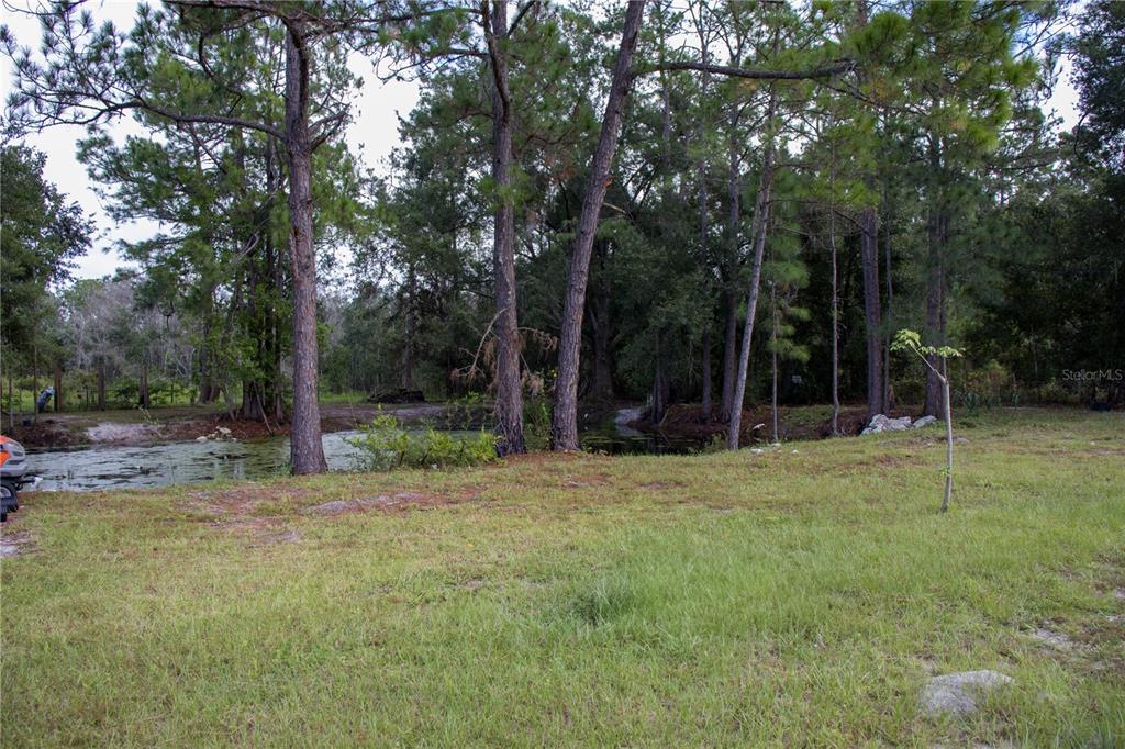 6130 Fussell Road Polk City, FL 33868 - Photo 18 of 21 a view of outdoor space with trees