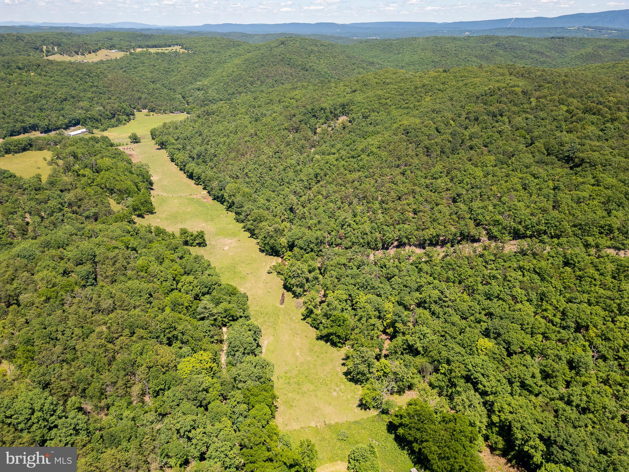 2084 Double Cribbs Road Burlington, WV 26710 - Photo 22 of 87