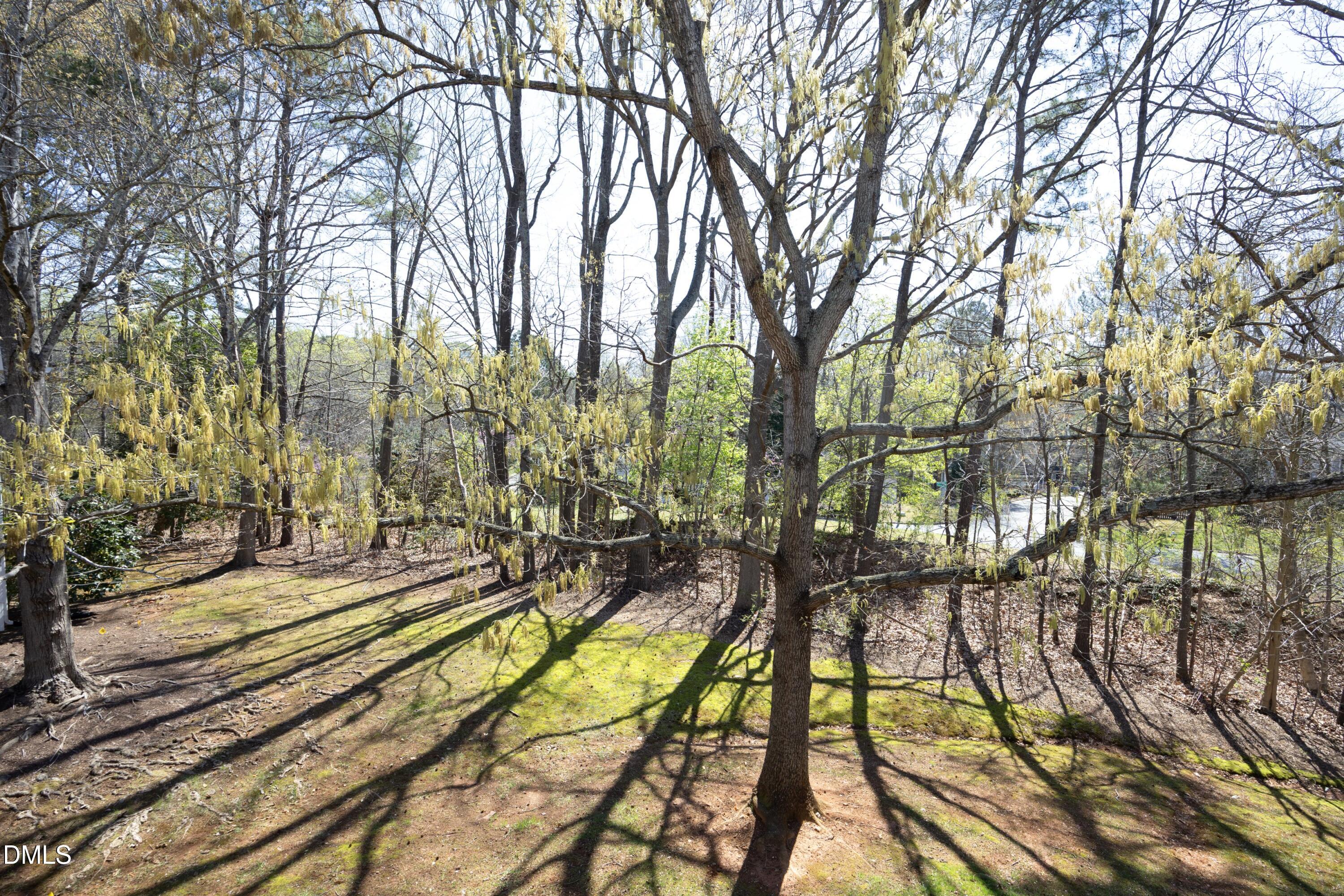521 Renshaw Court Cary, NC 27518 - Photo 30 of 34 a view of a yard with an trees