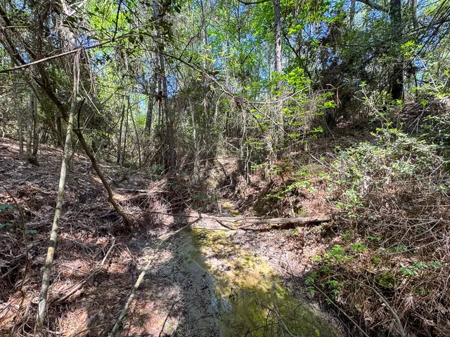 an outdoor view of the house