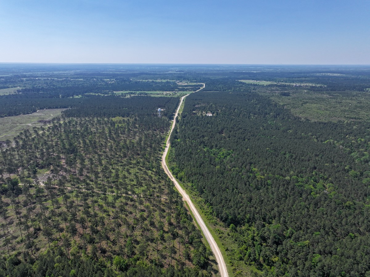 0 Guerrant Road Huntsville, TX 77320 - Photo 20 of 24 a view of a yard with an outdoor space