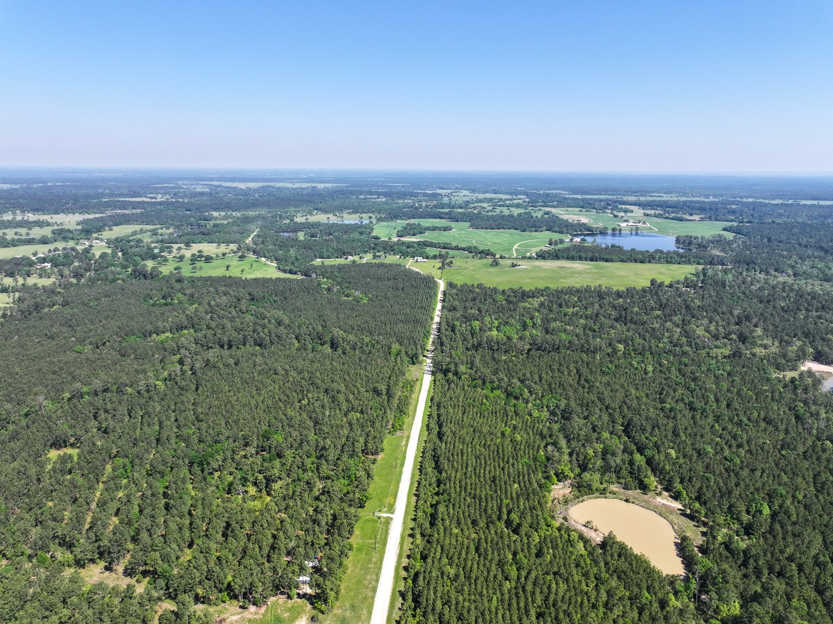 0 Guerrant Road Huntsville, TX 77320 - Photo 22 of 24 a view of a city with tall trees