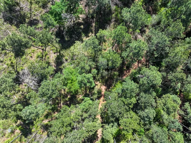 $238,650 | 0 Guerrant Road, Huntsville, TX 77320