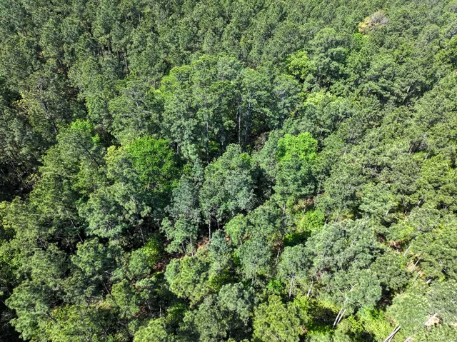 $238,650 | 0 Guerrant Road, Huntsville, TX 77320