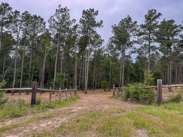 a view of outdoor space with trees