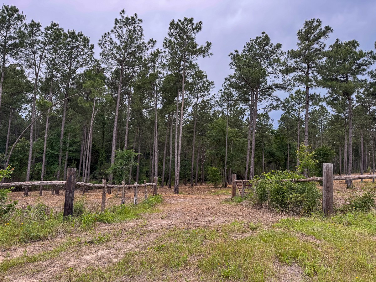 0 Guerrant Road Huntsville, TX 77320 - Photo 4 of 24 a backyard of a house with lots of green space