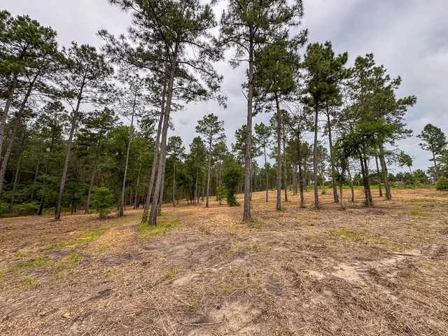 a view of outdoor space with trees all around