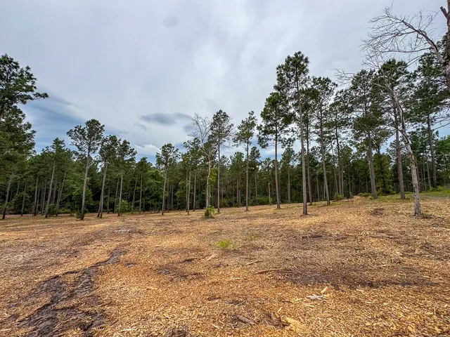 a view of outdoor space with trees