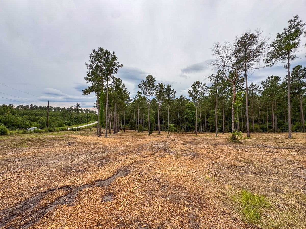 0 Guerrant Road Huntsville, TX 77320 - Photo 8 of 24 a view of outdoor space with trees