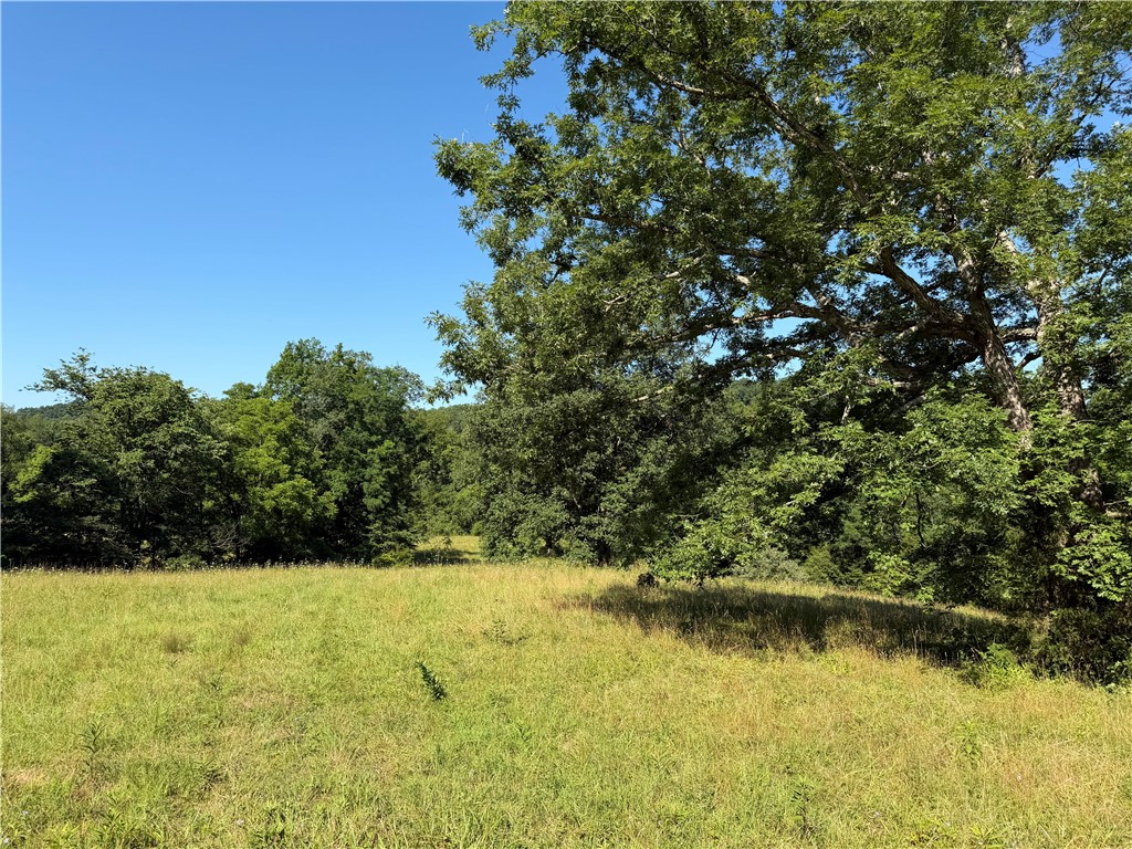1897 Chestnut Ridge Road West Union, OH 45693 - Photo 49 of 61