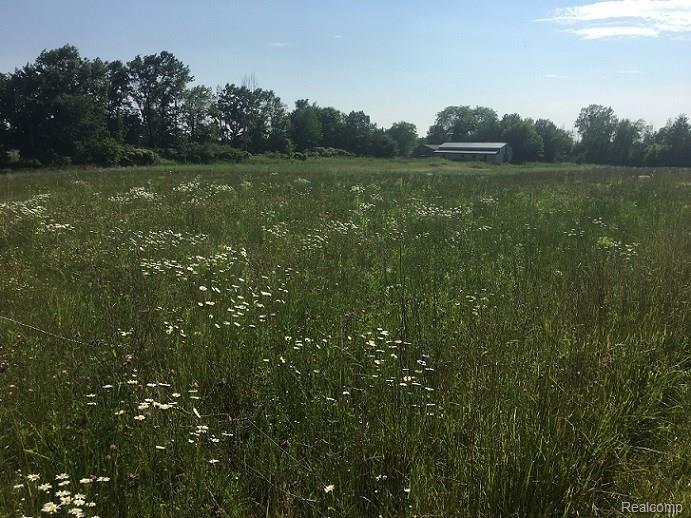 3874 Peters Road Columbiaville, MI 48421 - Photo 25 of 28 25 - view from back field of horse barn.JPG