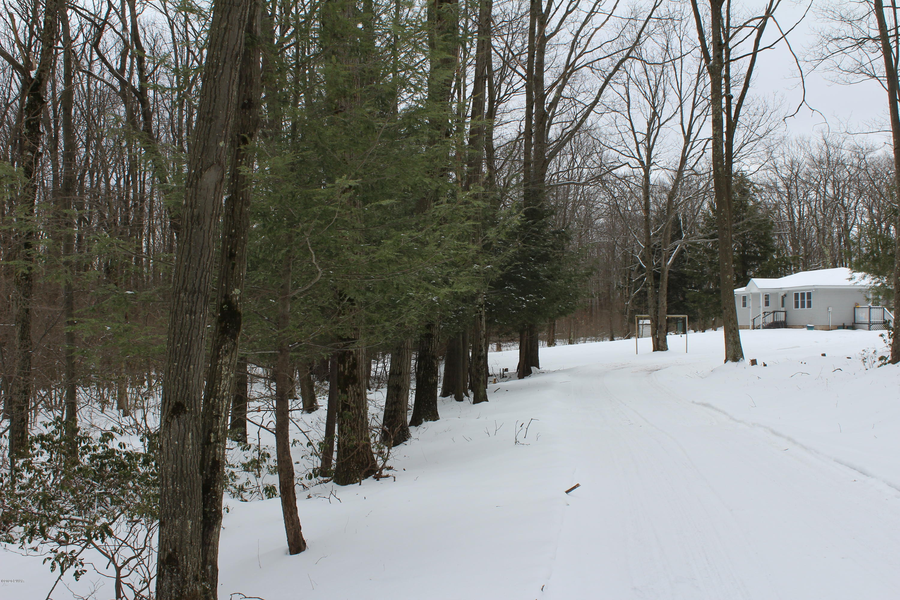 395 Brace Brook Road Forest City, PA 18421 - Photo 3 of 45