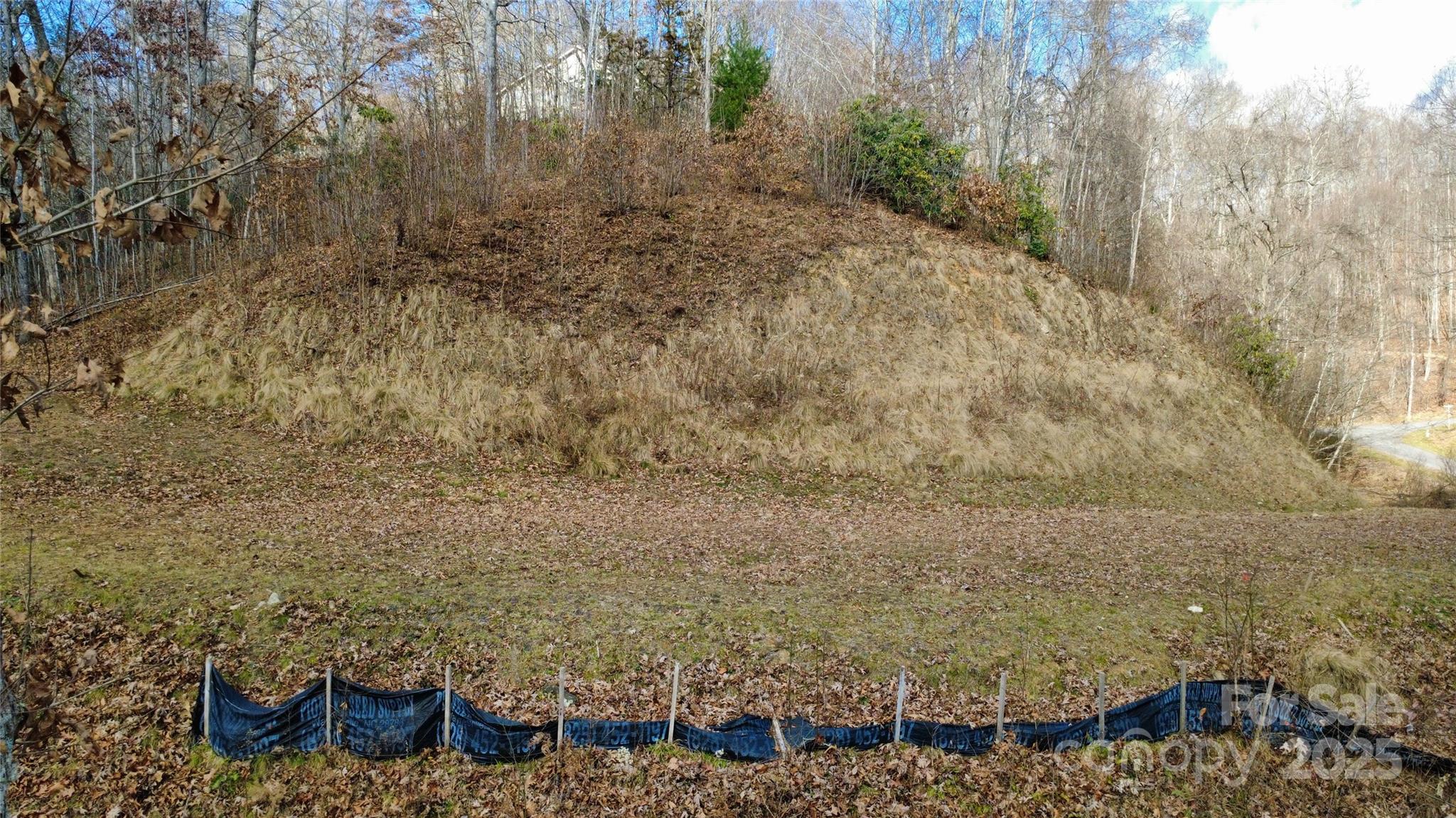97 Junebug Trail Waynesville, NC 28785 - Photo 11 of 15 a view of wooden floor