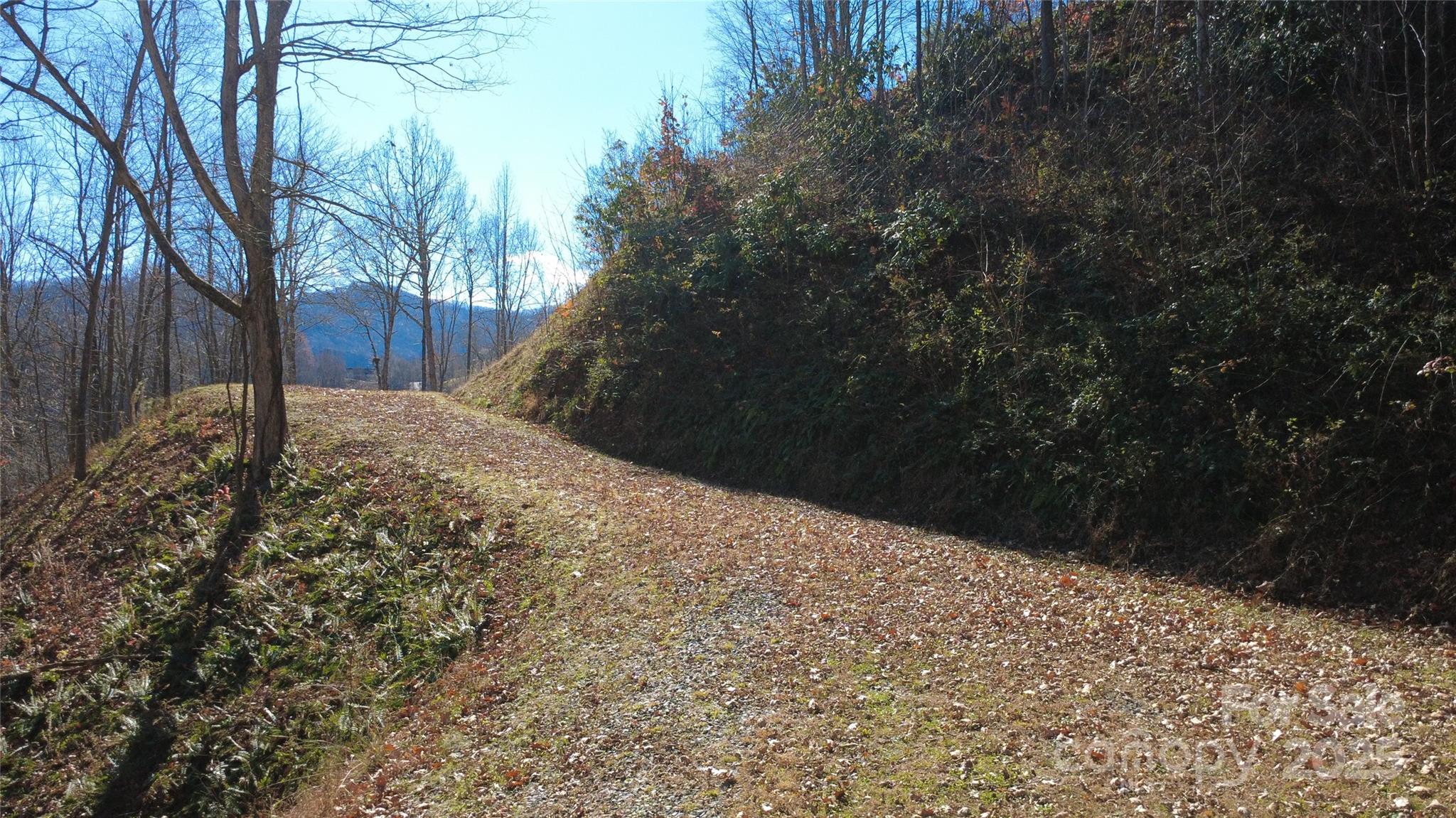 97 Junebug Trail Waynesville, NC 28785 - Photo 12 of 15 a view of a yard covered with snow in the yard